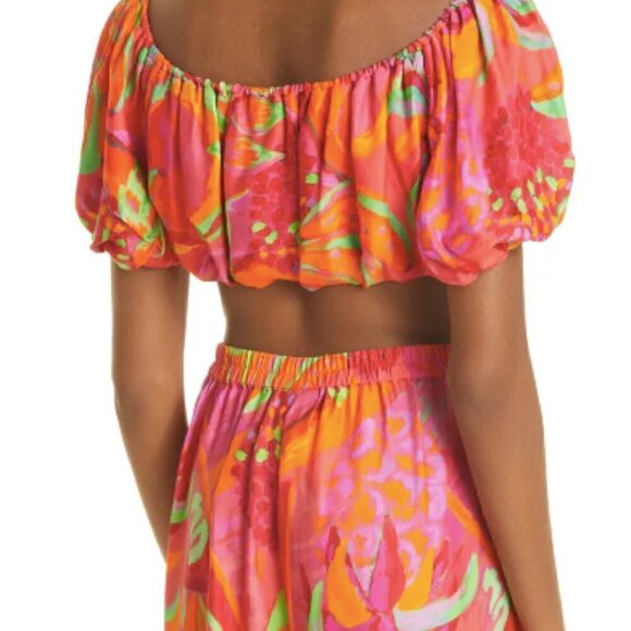 NEW Farm Rio Fruit Brush Crop Top - Picture 2 of 5